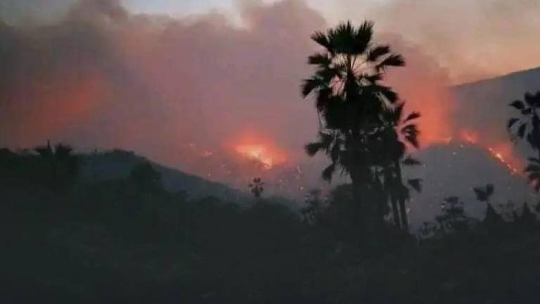 Fuego consume Reserva de Biósfera Tehuacán-Cuicatlán, Oaxaca; habitantes exigen acciones para controlarlo