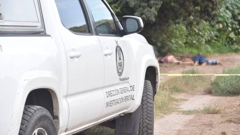 Los cadáveres de cuatro hombres fueron hallados en una huerta junto a un canal de riego en las inmediaciones del poblado Los Arredondo, en el municipio de Navolato.