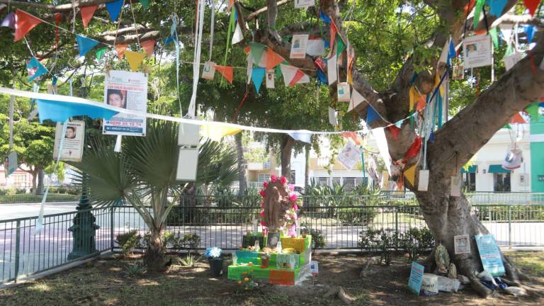 La ofrenda se colocó bajo la sombra de “El árbol de los desaparecidos”.