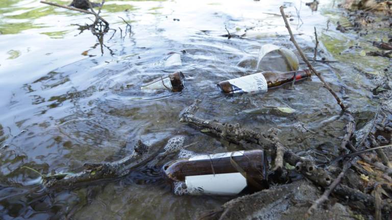 Pese a limpieza de colectivos, el Estero del Yugo vuelve a amanecer repleto de basura