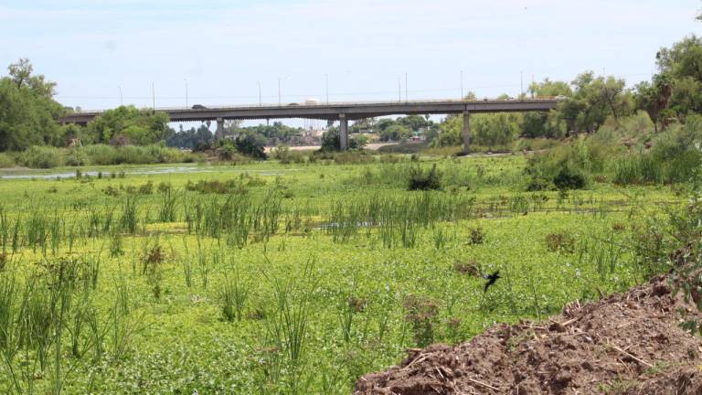 Río Sinaloa.