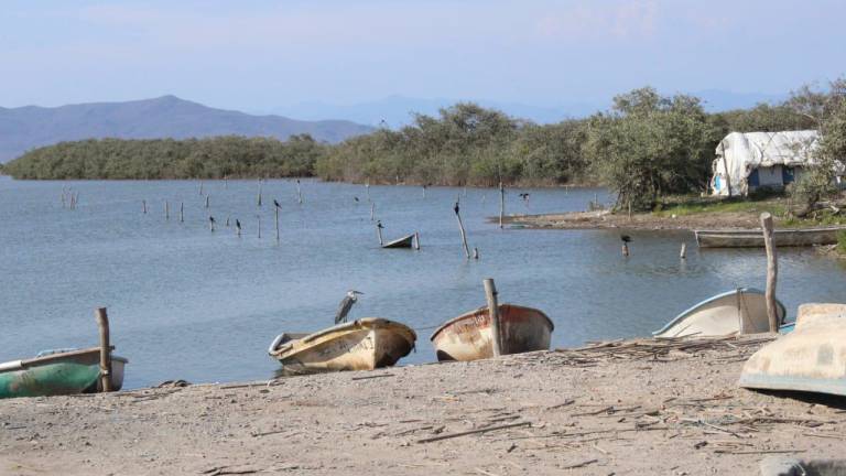 Descartan necesaria más vigilancia en esteros de Rosario: ‘Es incosteable hasta para el pescador furtivo’