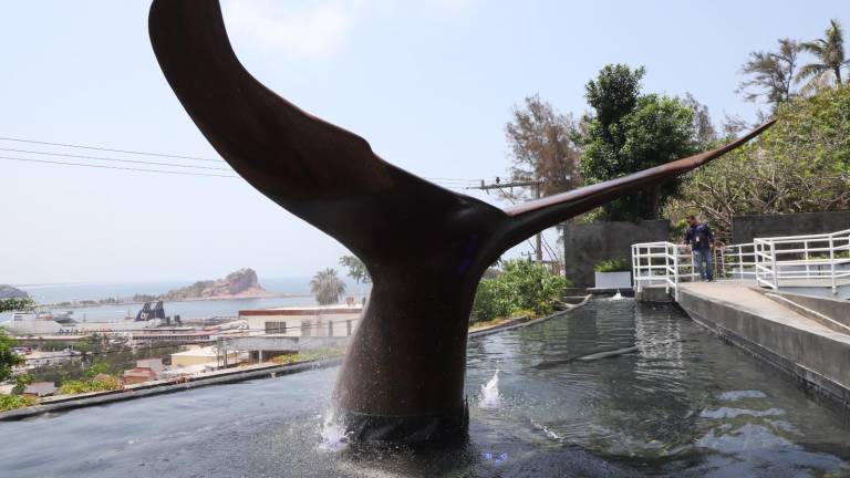 En el Cerro del Vigía abrirá un espacio para conocer más de la naturaleza que identifica a Mazatlán: el Museo Nacional de la Ballena.