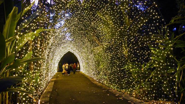 Disfrutan del comienzo de la Navidad en el Jardín Botánico