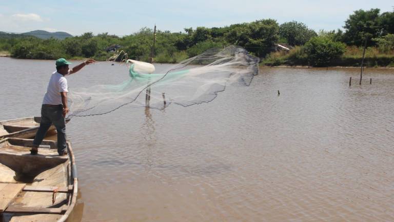 Los pescadores en Chametla ya pronostican otra mala temporada.