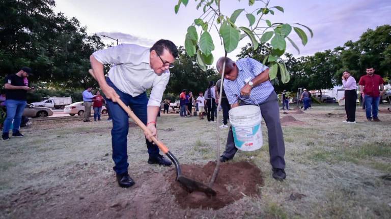 De los 10 mil árboles que prometió el Gobierno Municipal, ya llevan 6 mil 300 plantados.