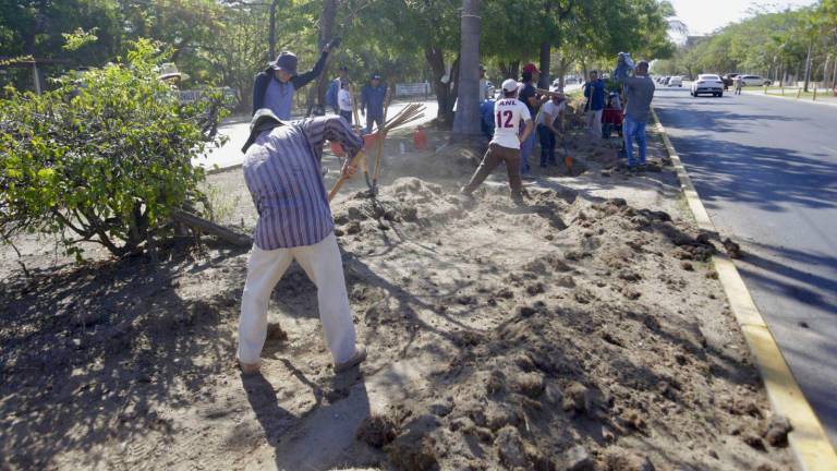 Cuadrillas del departamento de Parques y Jardines plantan más de 2 mil plantas de ornato.