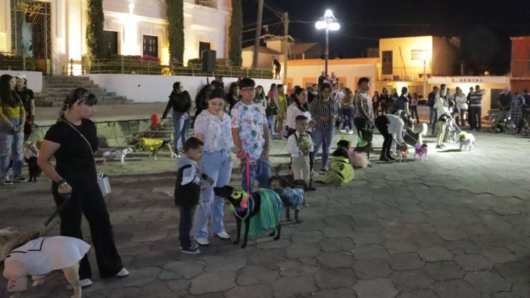 Celebración del Día de la Familia convocada por el Ayuntamiento de Rosario.