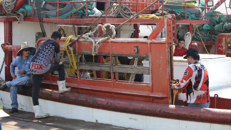 Pescadores alistan embarcaciones camaroneras para el final de la veda