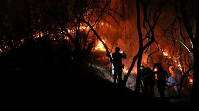 Un incendio se registra a la altura del poblado El Magistral, en la zona serrana de Concordia.