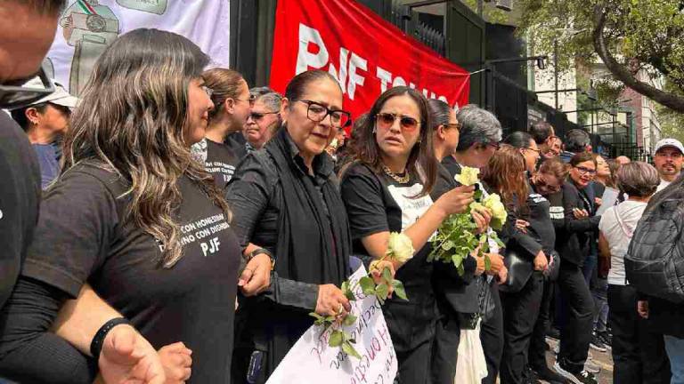 Las personas juzgadoras tuvieron hasta el miércoles 30 de octubre para declinar formalmente ante el Senado de la República.