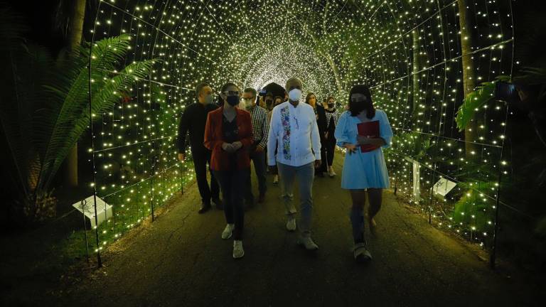 Viven una iluminada ‘Navidad en el Jardín’