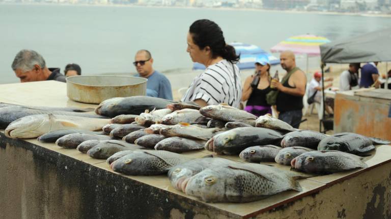 Viven pescadores de Playa Norte una temporada complicada ante escasez de producto