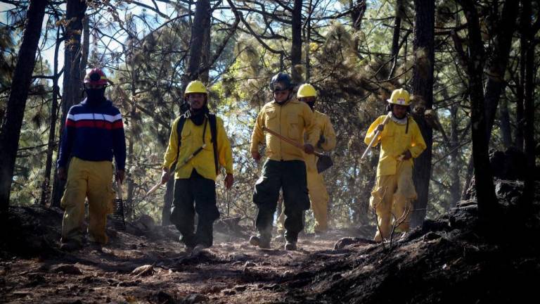 El área afectada por el incendio está siendo monitoreado por las brigadas de las diferentes instituciones y hasta el momento no representa un peligro o amenaza.