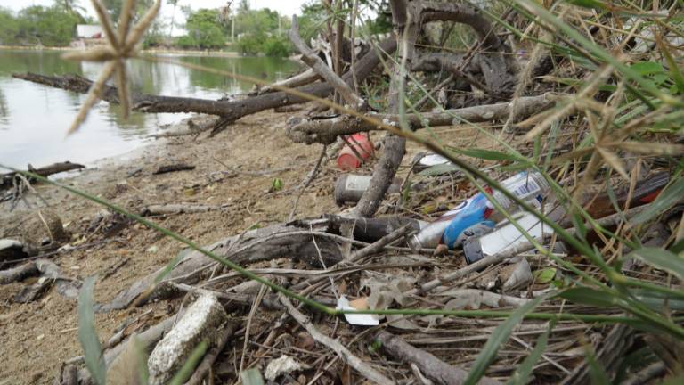 Denuncian contaminación en desembocadura del Estero del Yugo