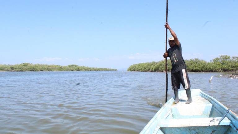 Los pescadores de la región esperan les ayuden a resolver la problemática.