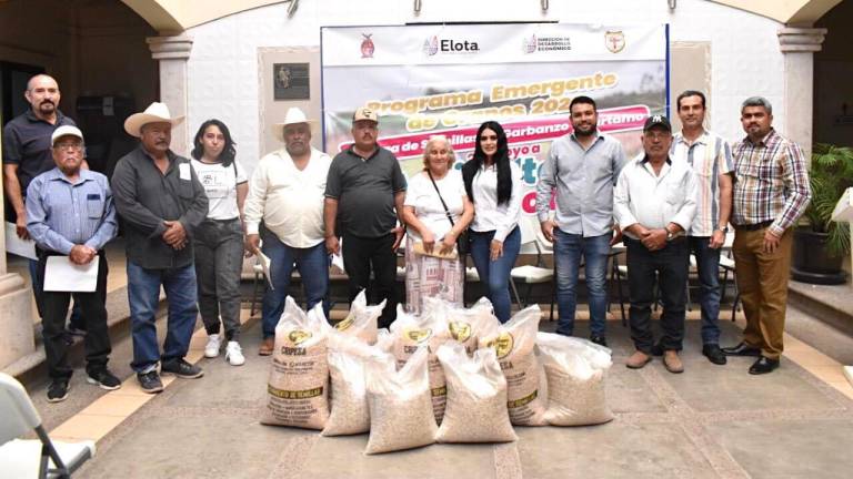 Se hicieron entrega de 4 toneladas de semilla de garbanzo y 200 kilogramos de cártamo, en beneficio de 16 productores que perdieron sus cultivos durante la temporada de lluvias.