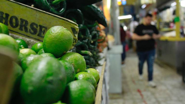 Durante la primera quincena de marzo, uno de los productos que más incrementó su precio fue el limón.