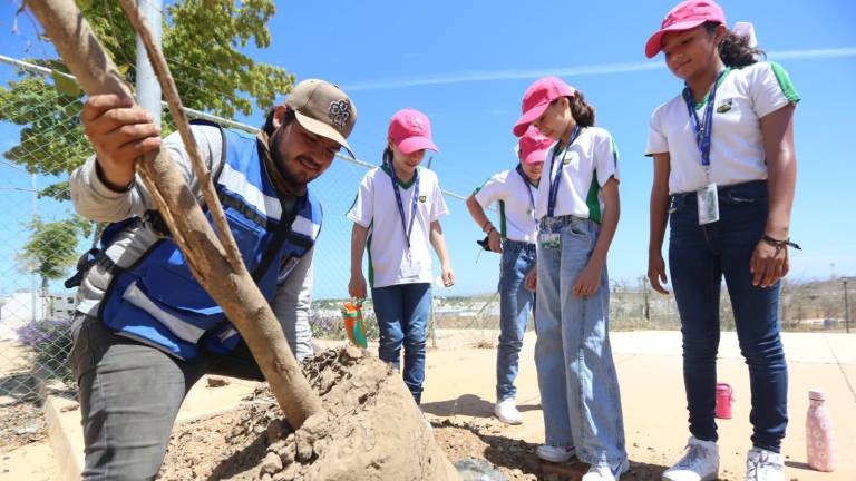 Alumnas y alumnos del Colegio Andes de Mazatlán participan en la reforestación de la Vía Paloma, Segunda Etapa, de El Cielo Parque Residencial.