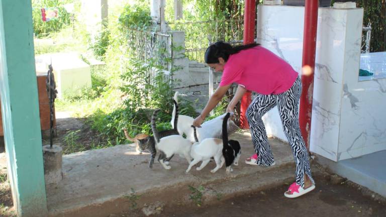En el Panteón Municipal de Rosario, Daniela Itzel acude de manera frecuente para dar alimentos a los gatos que ahí se encuentran.