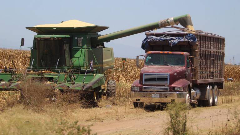 Piden diputados a autoridades evitar ‘coyotaje’ en compra de maíz