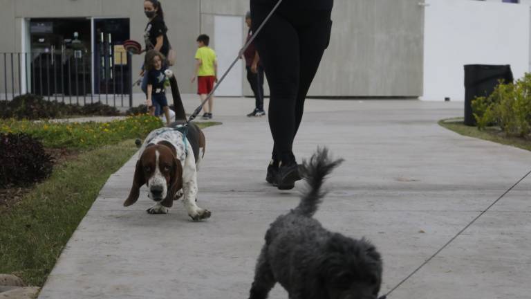 Comparten tardes de diversión