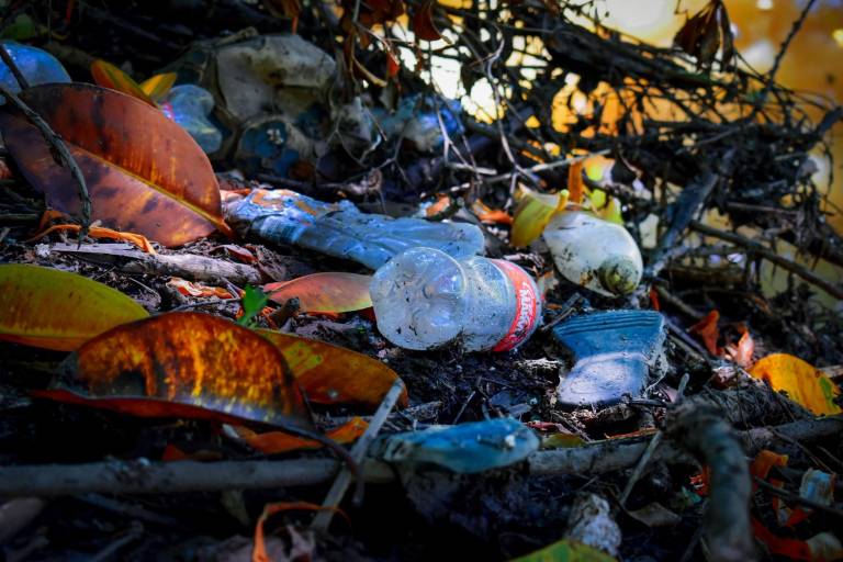 Acumulación de basura en el Parque Las Riberas amenaza la vida silvestre del lugar