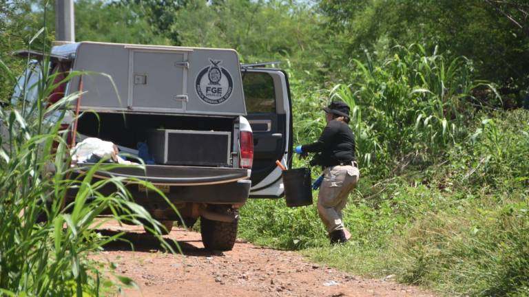 Los restos fueron encontrados a una distancia aproximada de ocho metros unos de otros.