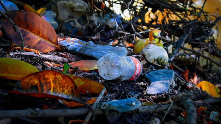 Acumulación de basura en el Parque Las Riberas amenaza la vida silvestre del lugar