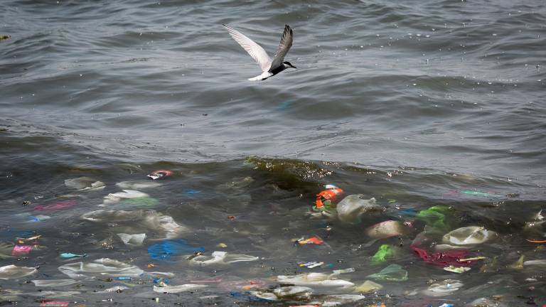 La contaminación por plásticos es uno de los mayores problemas de contaminación del océano.