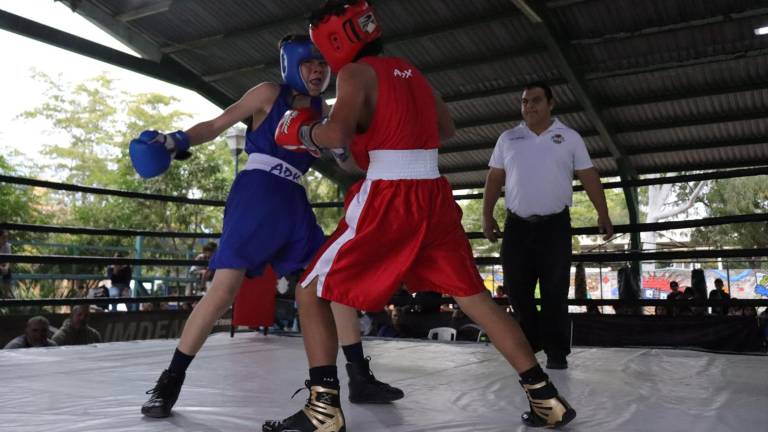 Este 2024 fue un año excelente: Presidente de comité de box