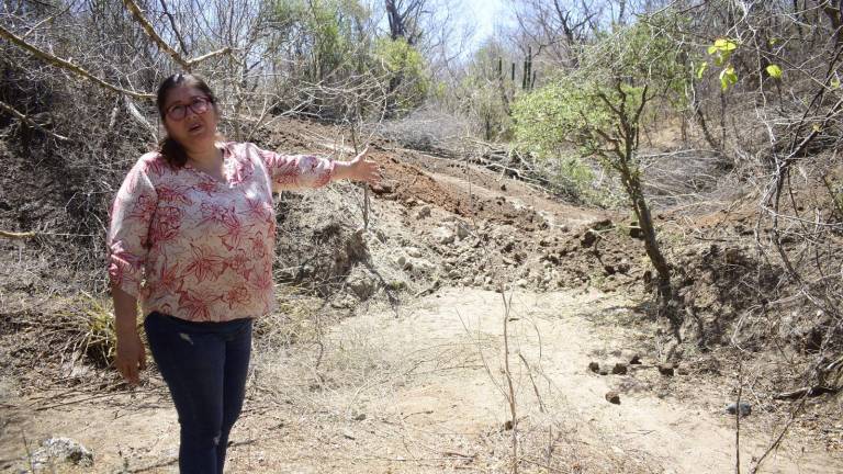 La maquinaria ha demolido la vegetación del lugar.