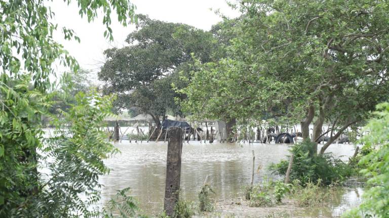 La creciente del Río Presidio hasta el momento no ha llegado a un nivel de peligro.