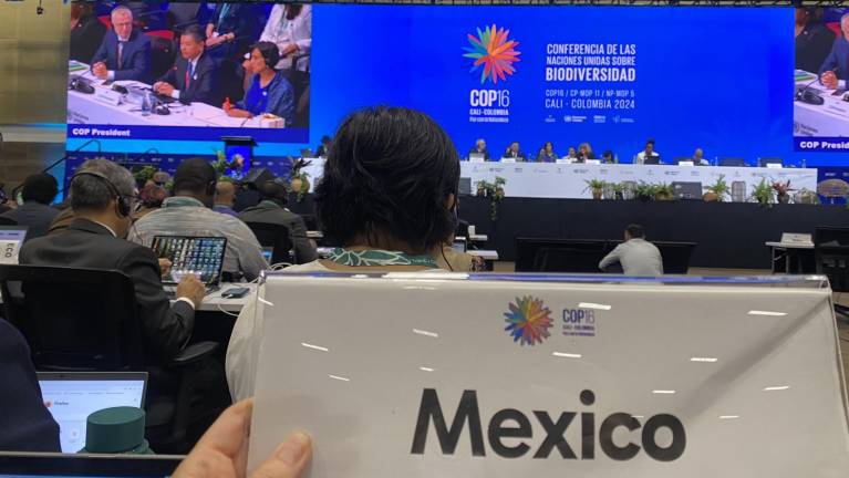 Financiamiento, gobiernos locales y derechos indígenas: los temas que interesan a México de la COP16 de Biodiversidad