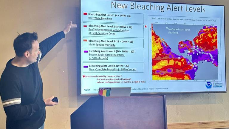 Establecen tres nuevos niveles de alerta por blanqueamiento de arrecifes de coral