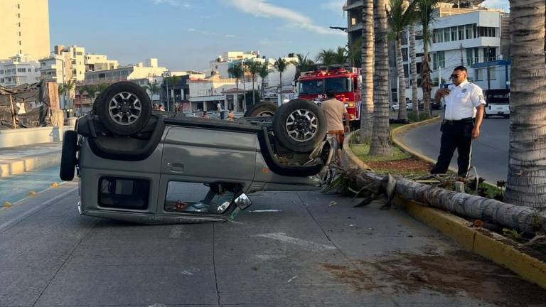 Jeep derriba palmera y vuelca en el Paseo Claussen en Mazatlán