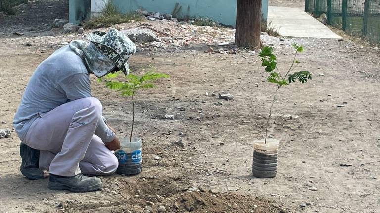 En la Unidad Deportiva Toledo Corro ya se plantaron siete árboles.