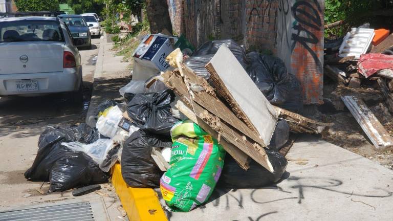 La basura no se ha recogido desde hace una semana, denuncian.