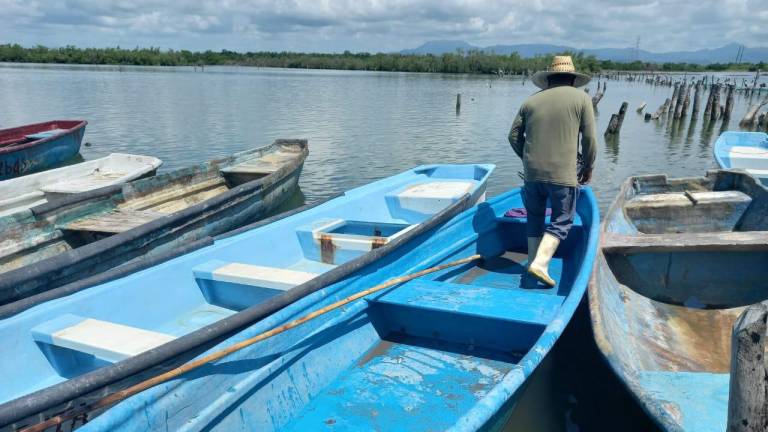 Pescadores de Escuinapa se autovedan 10 días