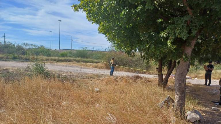 Los cuerpos, a simple vista de dos varones, tienen huellas de golpes y de haber sido torturados antes de asesinarlos.