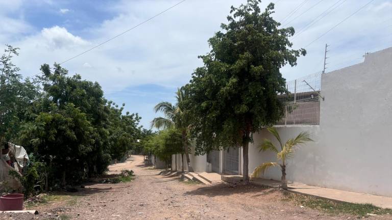 En la colonia Progreso, de Culiacán, no hay alumbrado público.