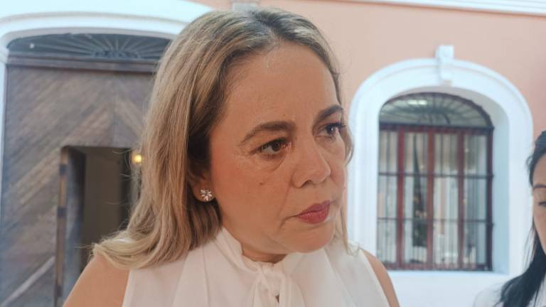 La presidenta del DIF Mazatlán María Teresa Apodaca reporta el apoyo otorgado a desplazados de Concordia.