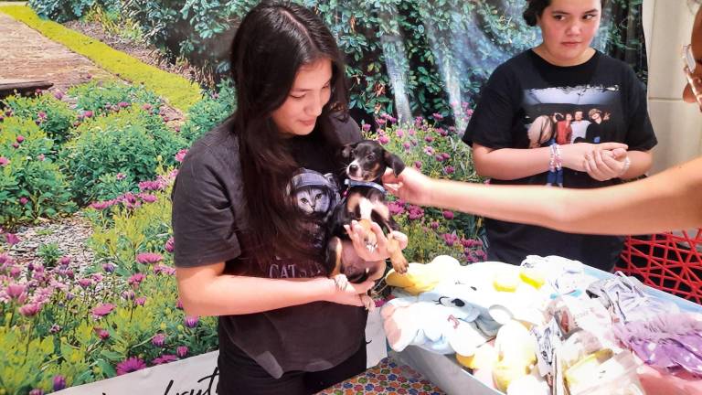 Durante el evento se realizaron concursos y esterilización de mascotas.