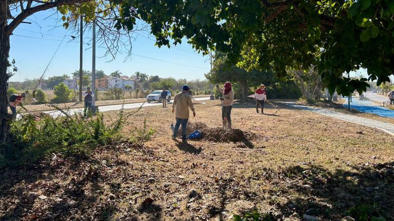 Personal del Ayuntamiento de Mazatlán limpian camellones de las avenidas Cerritos y El Dorado.