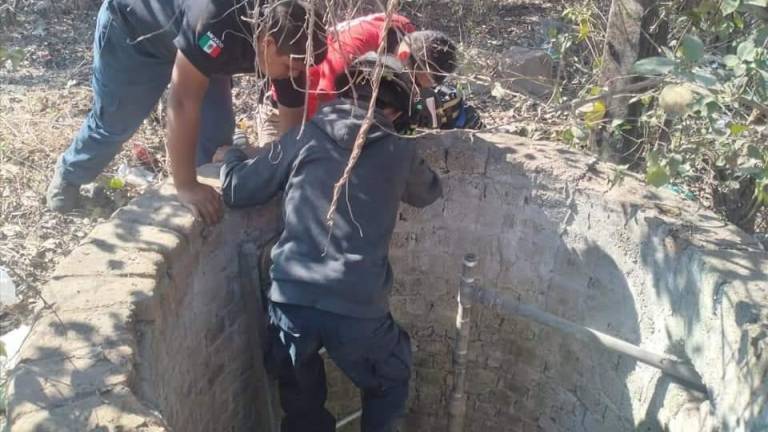 Un bombero ingresa a la noria para sacar al felino.