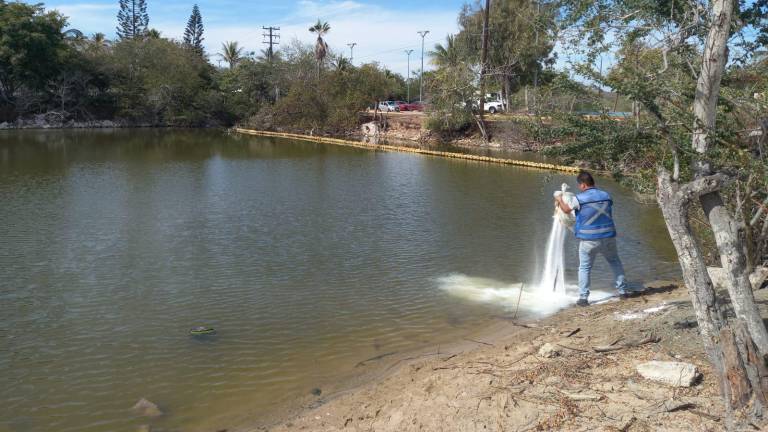 El estero del Yugo es uno de los cuerpos de agua de Mazatlán que ha sufrido descargas de aguas residuales.