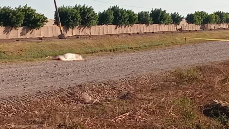 Localizan a un hombre sin vida a las orillas de un canal, en Navolato