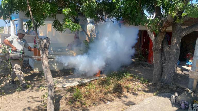 Personal de la Secretaría de Salud fumiga panteones en Rosario.