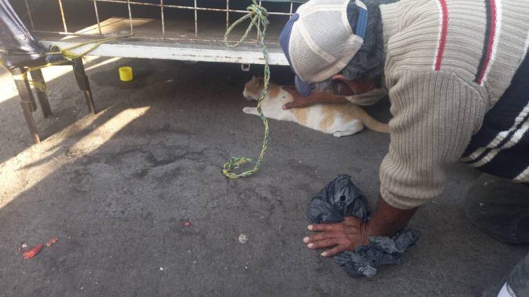 El “Manchas” ya con los efectos del envenenamiento se refugió bajo un puesto y una persona intentó salvarlo, pero murió en el lugar.