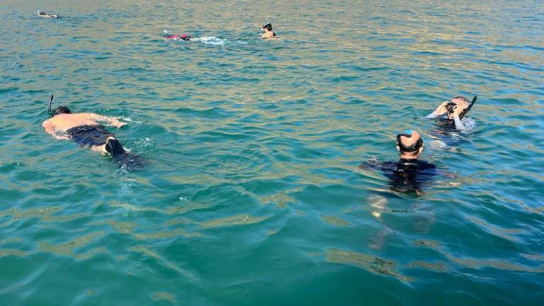 Más de 30 voluntarios se sumergen en el mar frente a la Isla Venados y extraen todo tipo de basura.